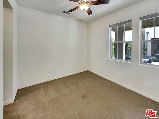 spare room with carpet floors and a wealth of natural light