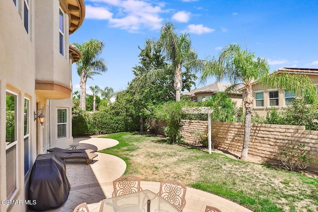 view of yard featuring a patio area