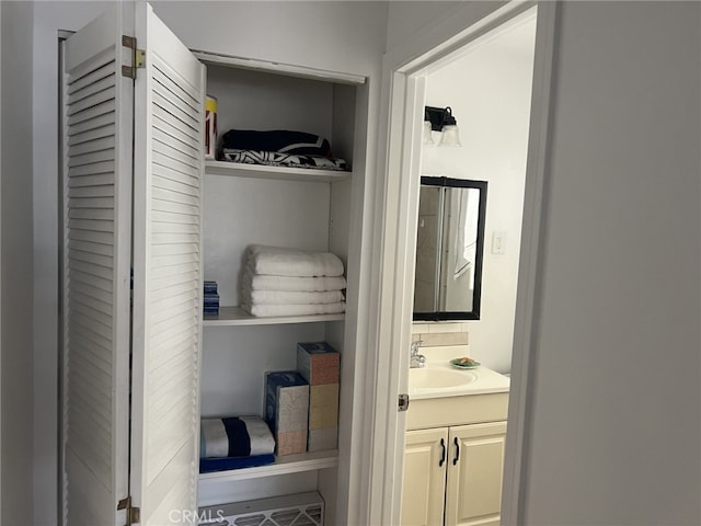 closet with sink