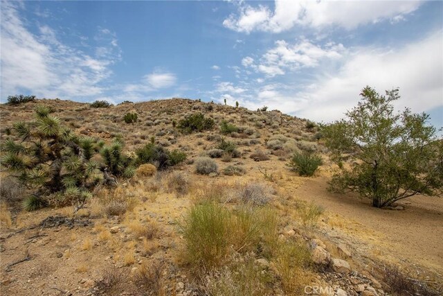 55700 Golden Bee Dr, Yucca Valley, CA 92284 - photo 4