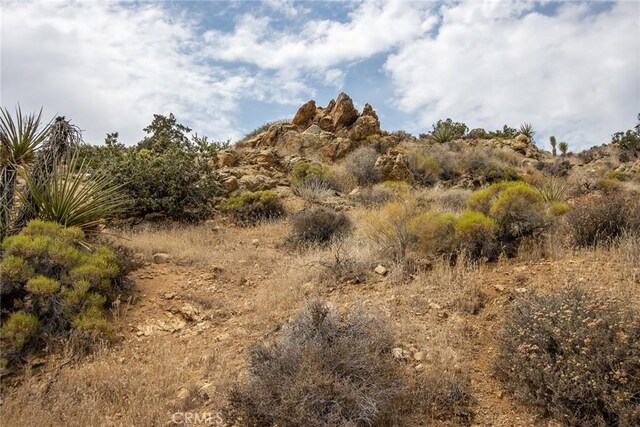 55700 Golden Bee Dr, Yucca Valley, CA 92284 - photo 6