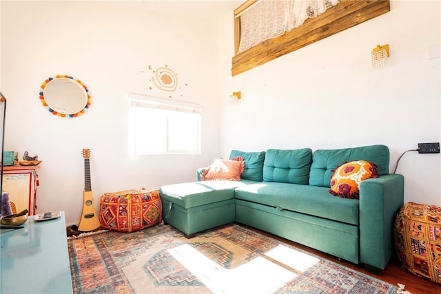 living room featuring hardwood / wood-style flooring