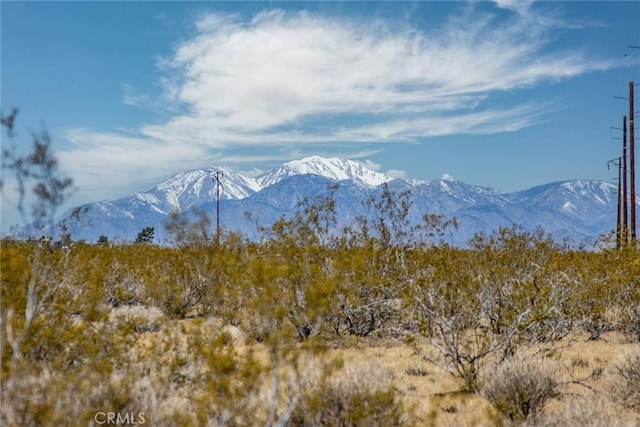 62576 Cottonwood Dr, Joshua Tree, CA 92252