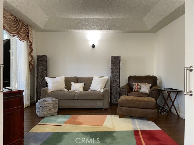 living room featuring a tray ceiling and dark hardwood / wood-style flooring