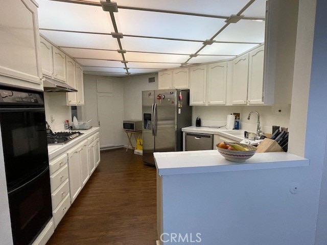 kitchen featuring kitchen peninsula, dark hardwood / wood-style floors, appliances with stainless steel finishes, and sink