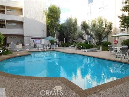 view of pool featuring a patio area