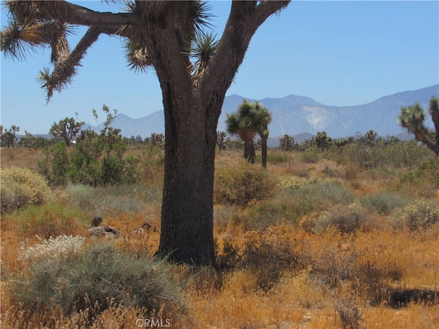 0 Goss Rd, Phelan, CA 92371