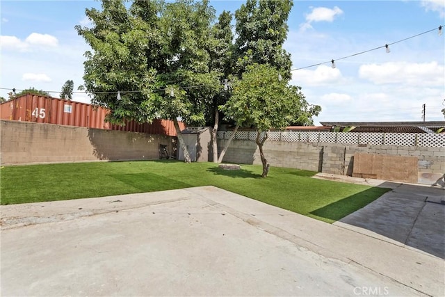 view of yard featuring a patio