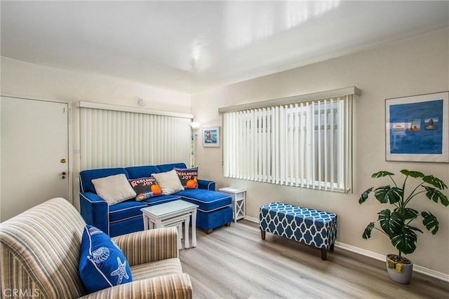 living room featuring hardwood / wood-style flooring