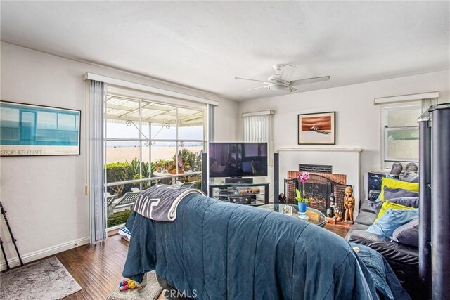 living room with ceiling fan, plenty of natural light, dark hardwood / wood-style flooring, and a fireplace