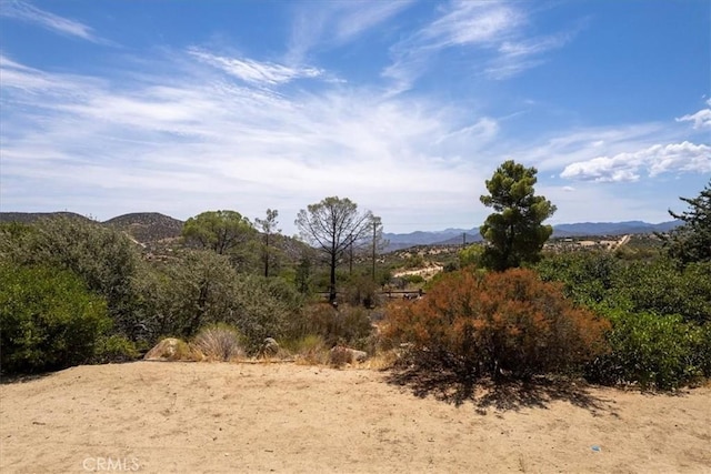 view of nature featuring a mountain view