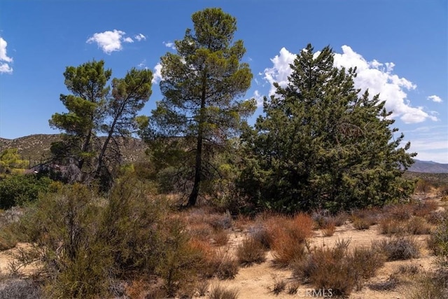 view of nature featuring a mountain view