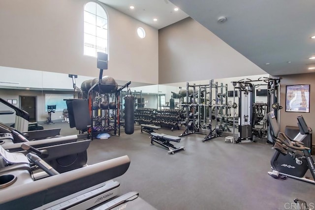 gym featuring a towering ceiling