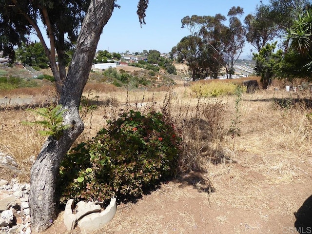 view of landscape with a rural view