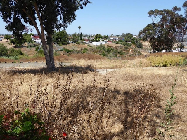 view of local wilderness