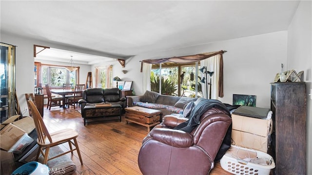 living room with hardwood / wood-style floors, beamed ceiling, and a healthy amount of sunlight