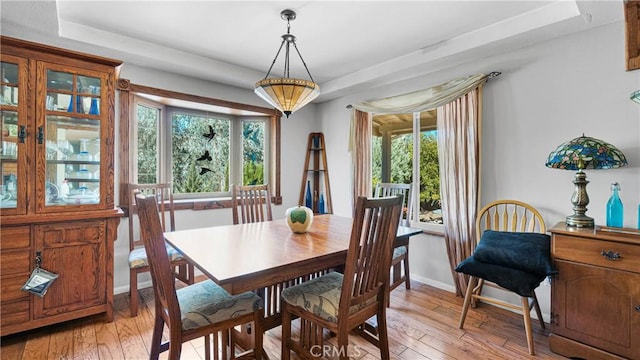 dining room with a raised ceiling, a healthy amount of sunlight, and light wood-type flooring