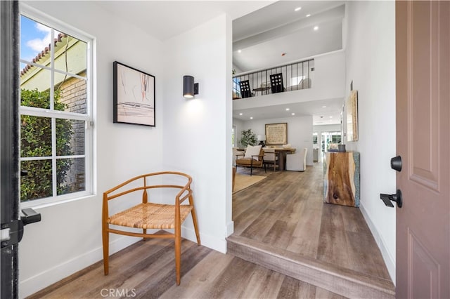 foyer featuring hardwood / wood-style floors and a healthy amount of sunlight