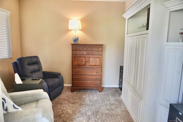 sitting room with carpet floors