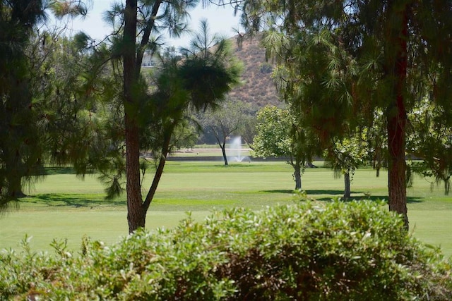 view of property's community with a lawn