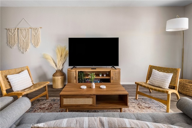 living room with hardwood / wood-style flooring