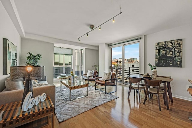 living room with hardwood / wood-style flooring and track lighting