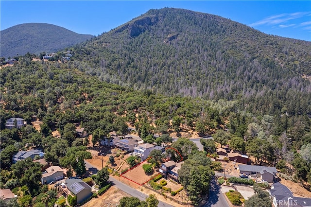 bird's eye view featuring a mountain view and a view of trees