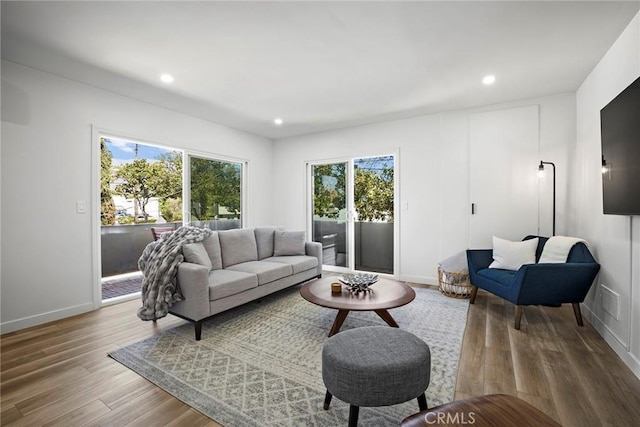 living room with wood-type flooring