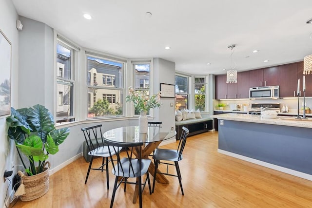 dining room with light hardwood / wood-style flooring