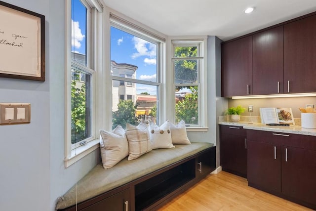 interior space featuring a healthy amount of sunlight and light hardwood / wood-style flooring