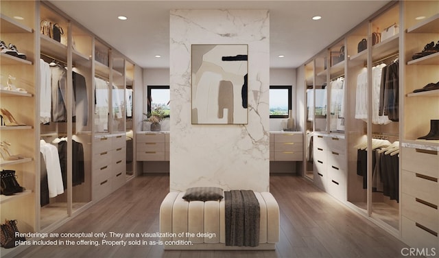 spacious closet featuring dark hardwood / wood-style flooring