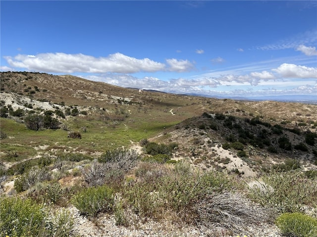 128 128th St E, Juniper Hills CA, 93553 land for sale