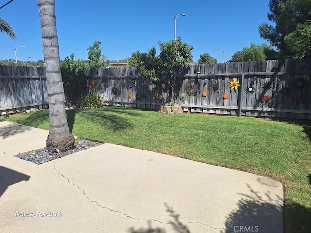 view of yard featuring a patio