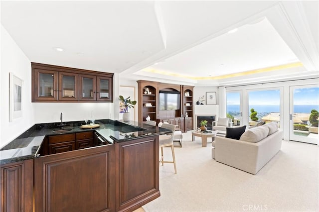 interior space featuring a kitchen bar, dark brown cabinetry, a tray ceiling, light colored carpet, and sink