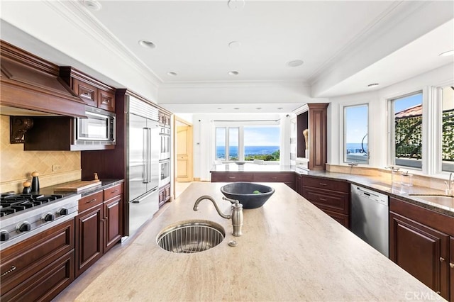 kitchen with premium range hood, sink, crown molding, decorative backsplash, and stainless steel appliances