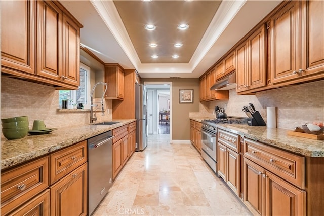 kitchen with light stone counters, tasteful backsplash, a raised ceiling, sink, and appliances with stainless steel finishes