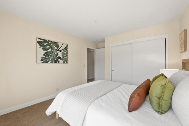 bedroom with a closet and carpet floors