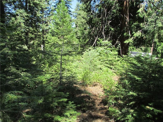 7199 Manzanita Ln, Yosemite, CA 95389 - photo 31
