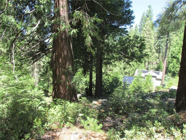 7199 Manzanita Ln, Yosemite, CA 95389 - photo 29