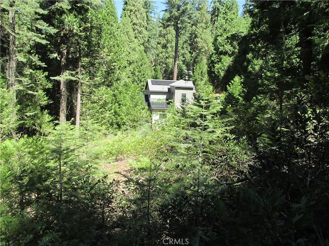 7199 Manzanita Ln, Yosemite, CA 95389 - photo 26
