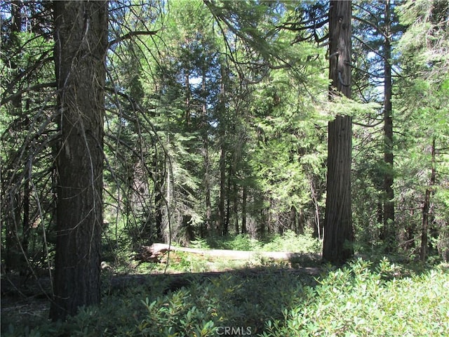 7199 Manzanita Ln, Yosemite, CA 95389 - photo 25