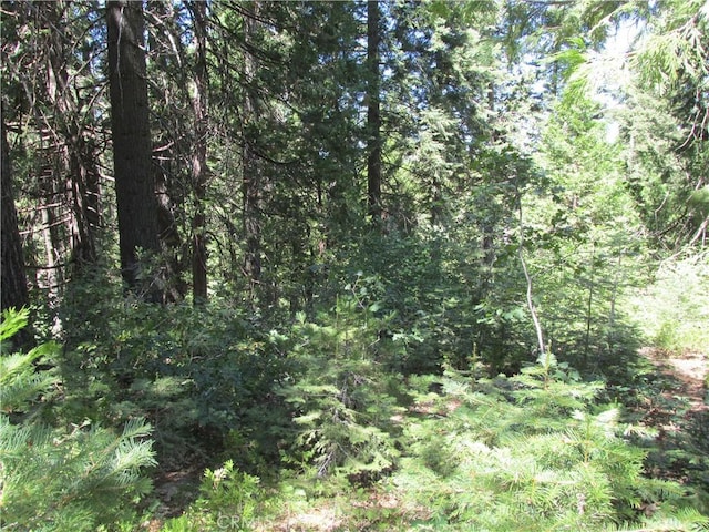 7199 Manzanita Ln, Yosemite, CA 95389 - photo 32