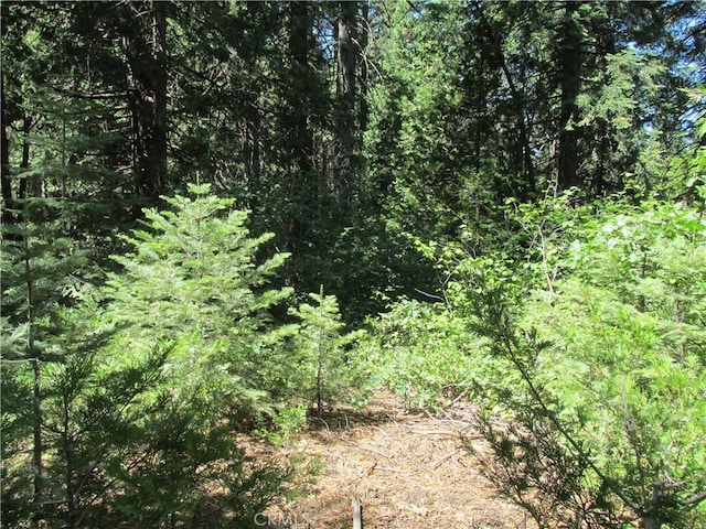 7199 Manzanita Ln, Yosemite, CA 95389 - photo 30