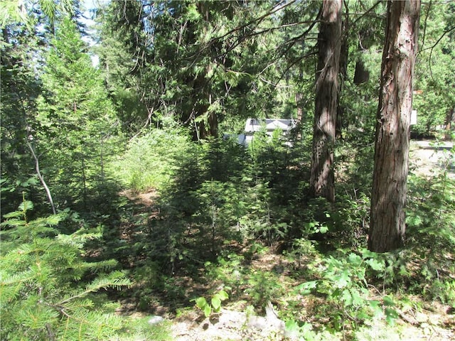 7199 Manzanita Ln, Yosemite, CA 95389 - photo 33