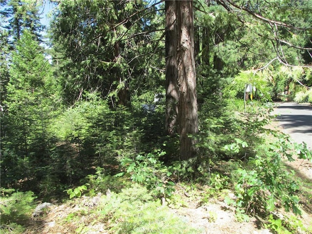 7199 Manzanita Ln, Yosemite, CA 95389 - photo 34