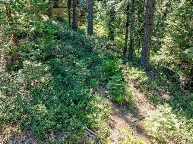 7199 Manzanita Ln, Yosemite, CA 95389 - photo 16