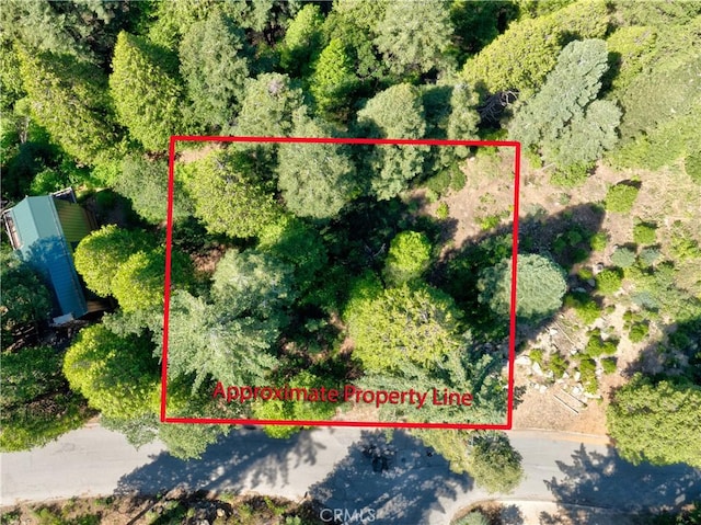 7199 Manzanita Ln, Yosemite, CA 95389 - photo 6