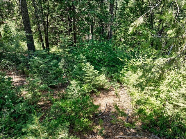 7199 Manzanita Ln, Yosemite, CA 95389 - photo 20