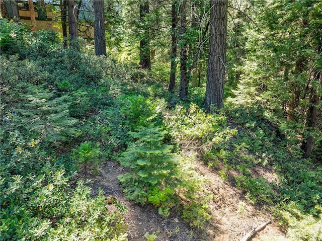 7199 Manzanita Ln, Yosemite, CA 95389 - photo 19
