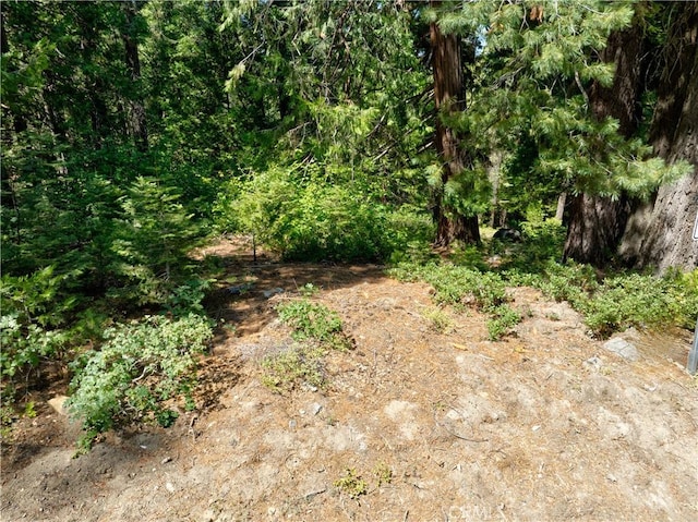 7199 Manzanita Ln, Yosemite, CA 95389 - photo 13